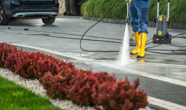 Best Driveway Pressure Washing  in Maumelle, AR
